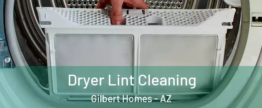 Dryer Lint Cleaning Gilbert Homes - AZ