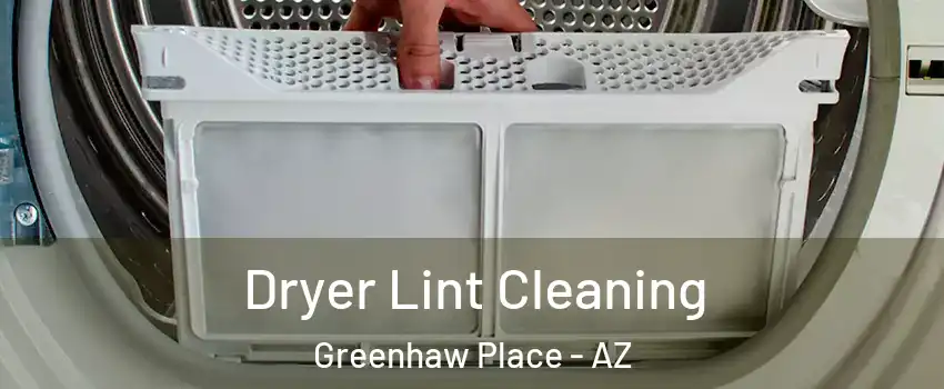 Dryer Lint Cleaning Greenhaw Place - AZ