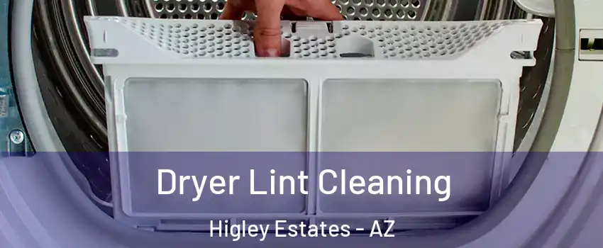 Dryer Lint Cleaning Higley Estates - AZ