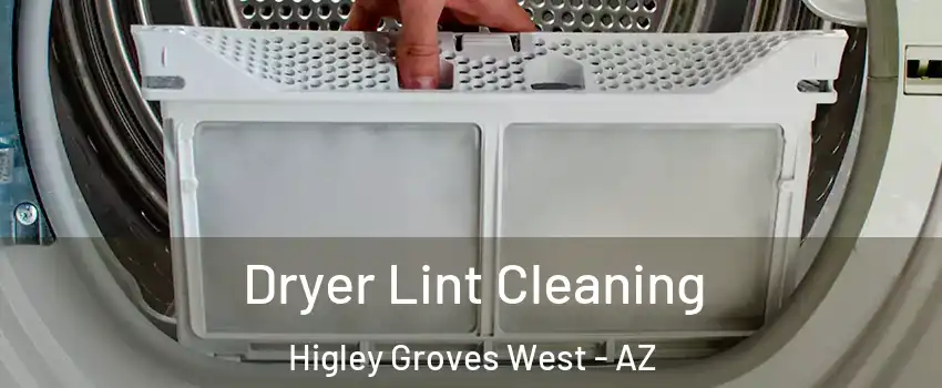 Dryer Lint Cleaning Higley Groves West - AZ
