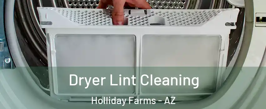 Dryer Lint Cleaning Holliday Farms - AZ