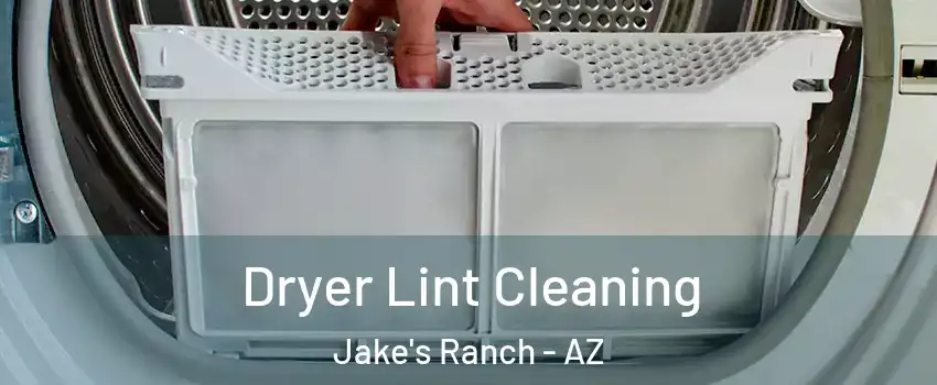 Dryer Lint Cleaning Jake's Ranch - AZ