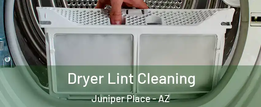 Dryer Lint Cleaning Juniper Place - AZ