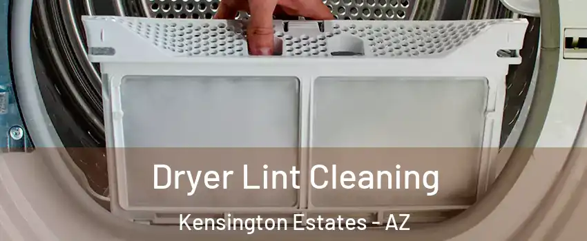 Dryer Lint Cleaning Kensington Estates - AZ