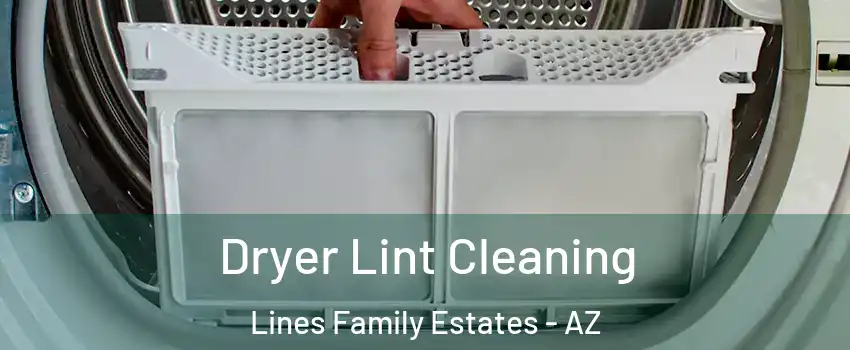 Dryer Lint Cleaning Lines Family Estates - AZ