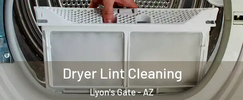 Dryer Lint Cleaning Lyon's Gate - AZ