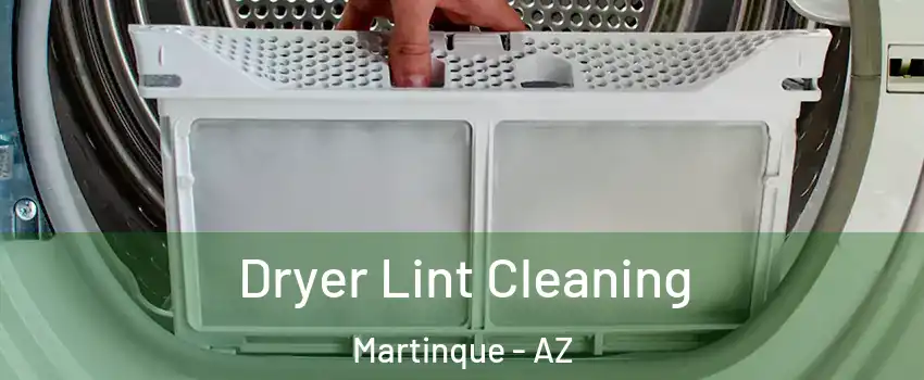Dryer Lint Cleaning Martinque - AZ