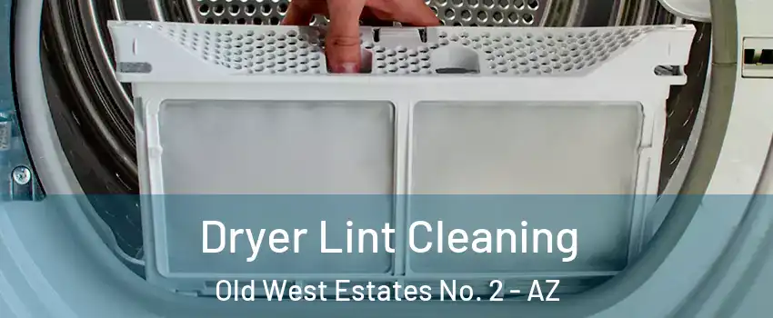 Dryer Lint Cleaning Old West Estates No. 2 - AZ