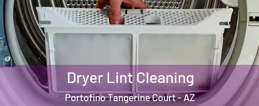 Dryer Lint Cleaning Portofino Tangerine Court - AZ