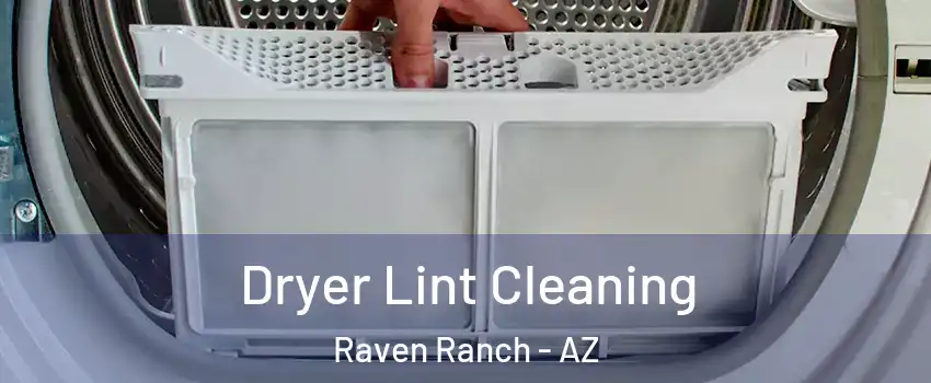 Dryer Lint Cleaning Raven Ranch - AZ