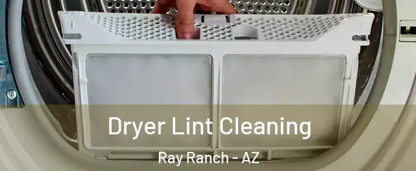 Dryer Lint Cleaning Ray Ranch - AZ