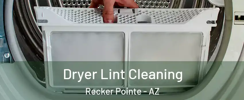 Dryer Lint Cleaning Recker Pointe - AZ