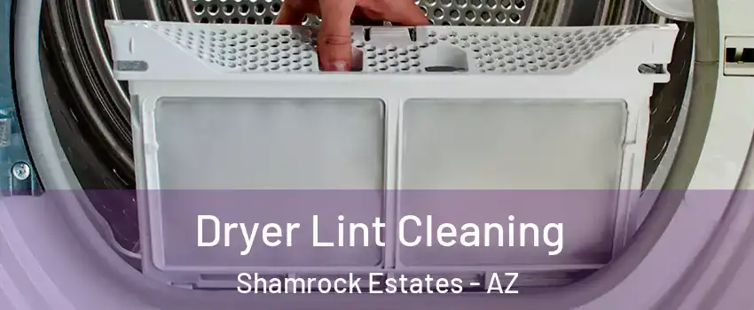 Dryer Lint Cleaning Shamrock Estates - AZ