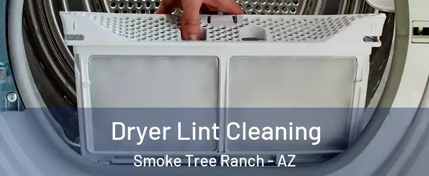 Dryer Lint Cleaning Smoke Tree Ranch - AZ