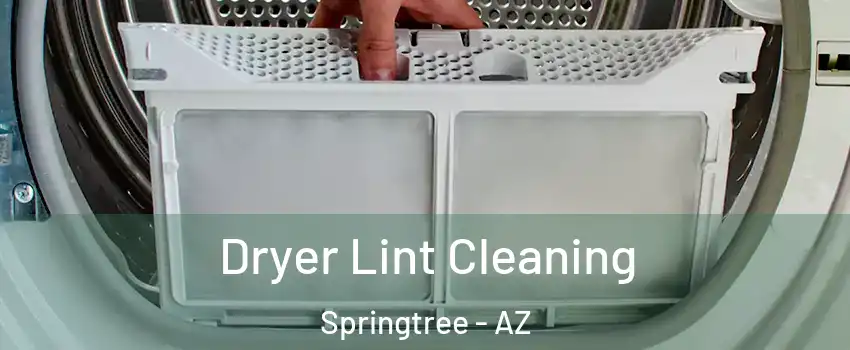 Dryer Lint Cleaning Springtree - AZ
