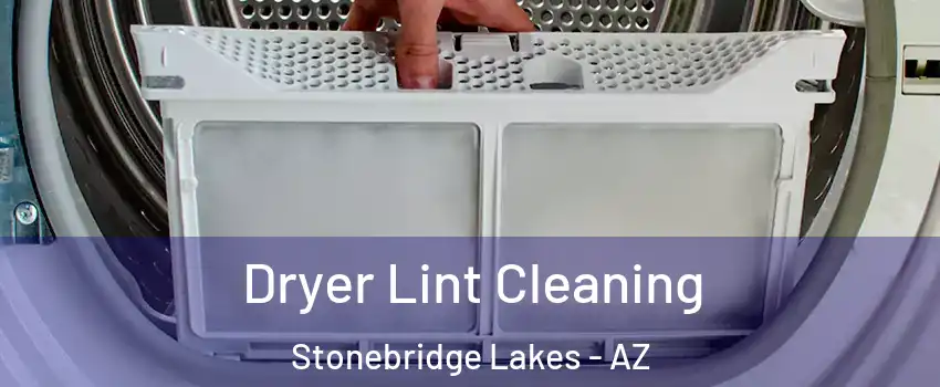 Dryer Lint Cleaning Stonebridge Lakes - AZ