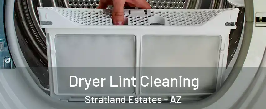Dryer Lint Cleaning Stratland Estates - AZ