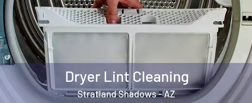 Dryer Lint Cleaning Stratland Shadows - AZ