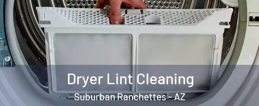 Dryer Lint Cleaning Suburban Ranchettes - AZ
