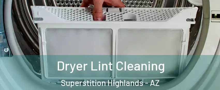 Dryer Lint Cleaning Superstition Highlands - AZ