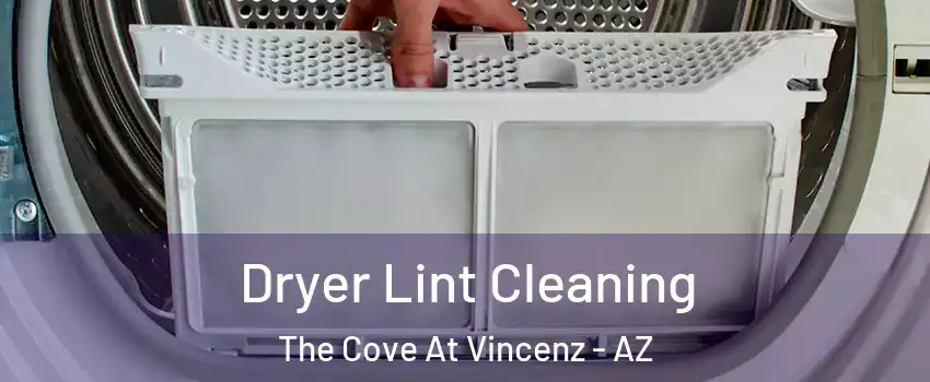 Dryer Lint Cleaning The Cove At Vincenz - AZ