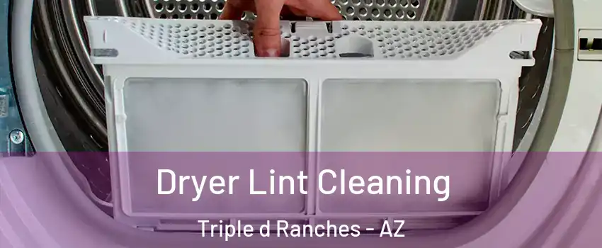 Dryer Lint Cleaning Triple d Ranches - AZ