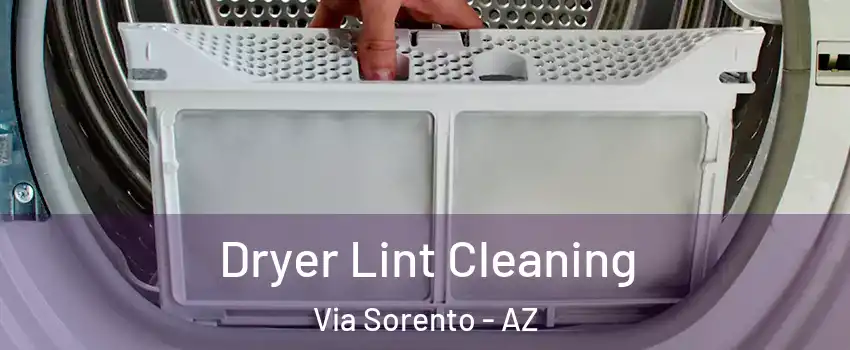 Dryer Lint Cleaning Via Sorento - AZ