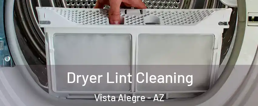 Dryer Lint Cleaning Vista Alegre - AZ