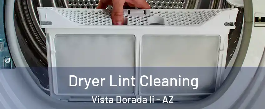 Dryer Lint Cleaning Vista Dorada Ii - AZ