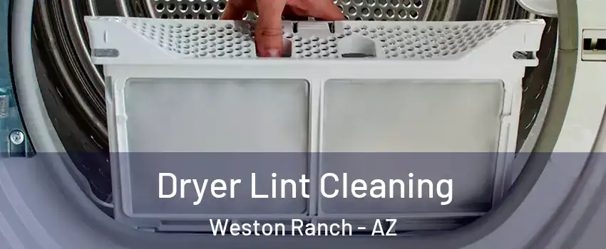 Dryer Lint Cleaning Weston Ranch - AZ
