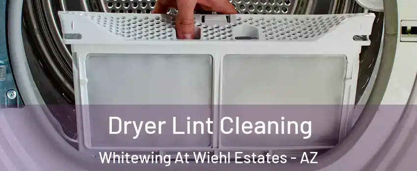 Dryer Lint Cleaning Whitewing At Wiehl Estates - AZ