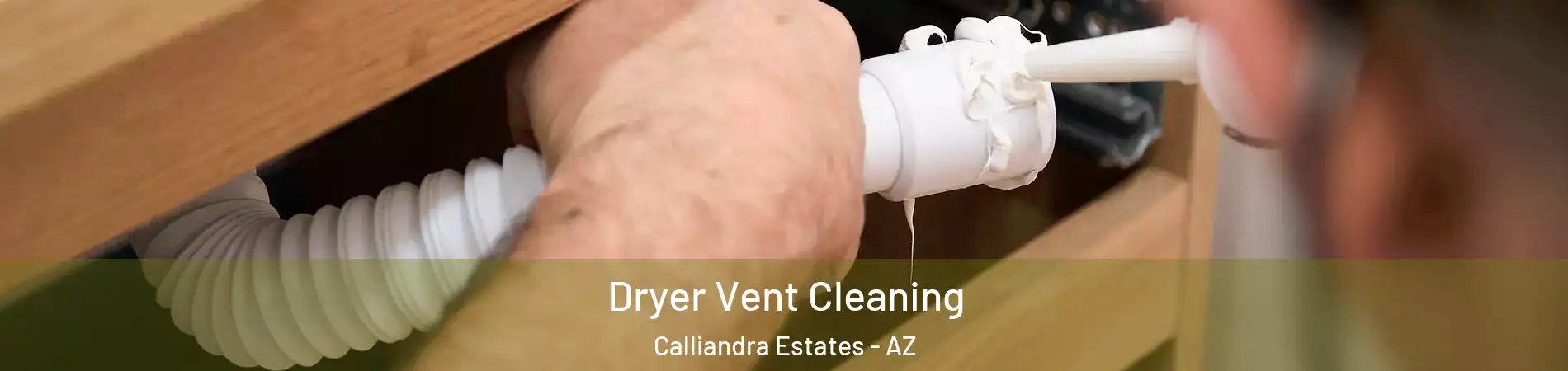 Dryer Vent Cleaning Calliandra Estates - AZ