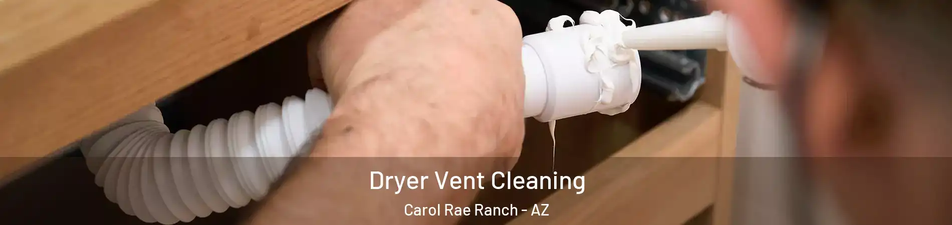 Dryer Vent Cleaning Carol Rae Ranch - AZ
