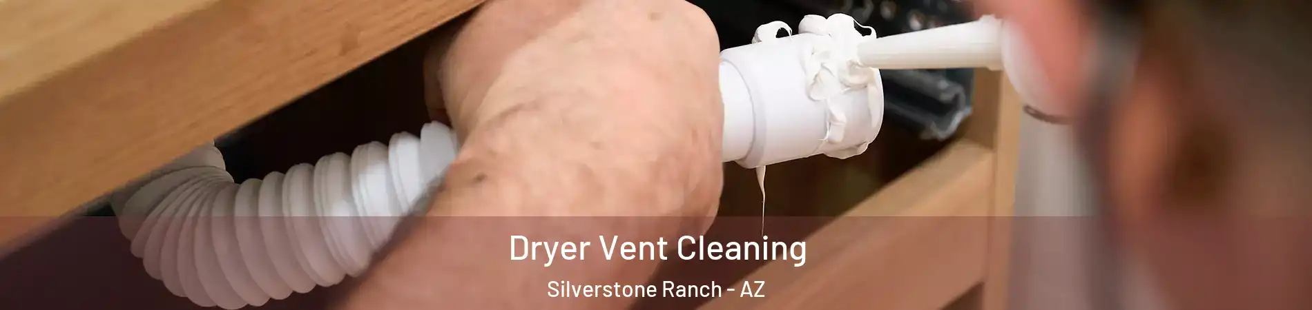 Dryer Vent Cleaning Silverstone Ranch - AZ
