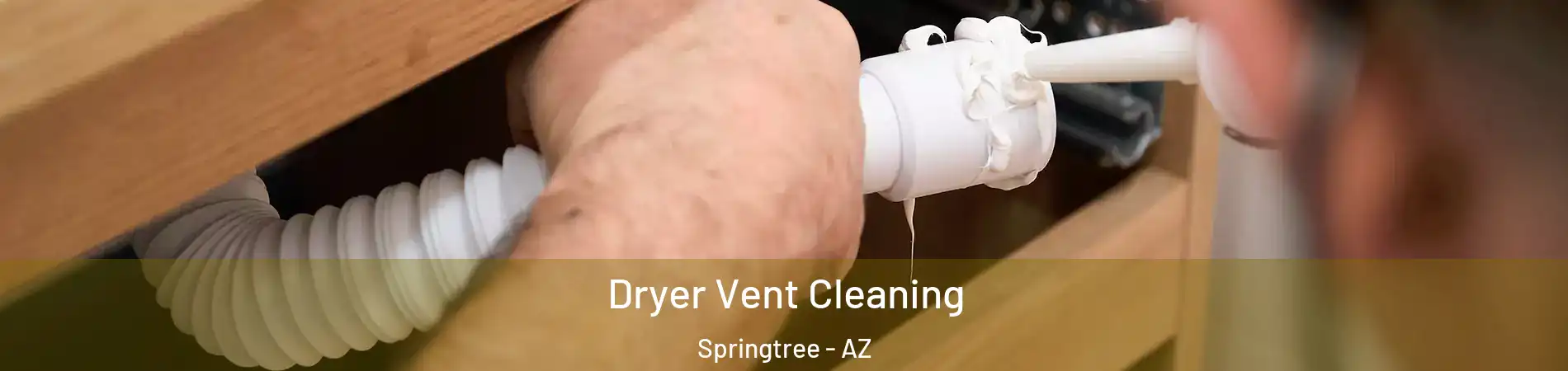 Dryer Vent Cleaning Springtree - AZ