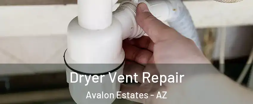 Dryer Vent Repair Avalon Estates - AZ