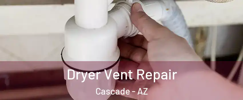 Dryer Vent Repair Cascade - AZ