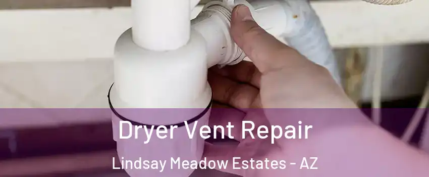 Dryer Vent Repair Lindsay Meadow Estates - AZ