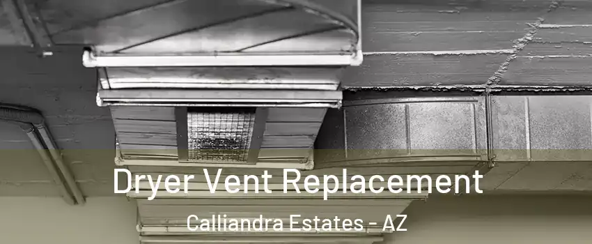 Dryer Vent Replacement Calliandra Estates - AZ