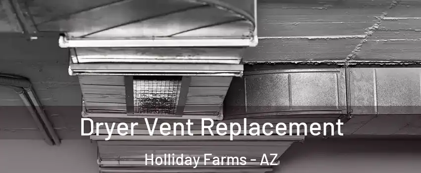 Dryer Vent Replacement Holliday Farms - AZ