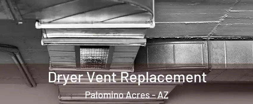 Dryer Vent Replacement Palomino Acres - AZ