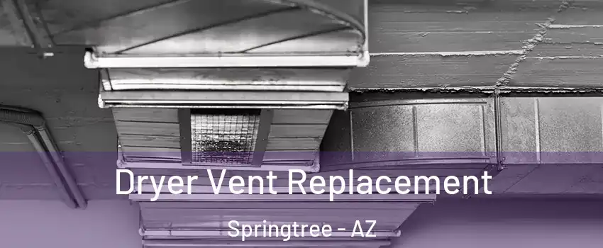 Dryer Vent Replacement Springtree - AZ