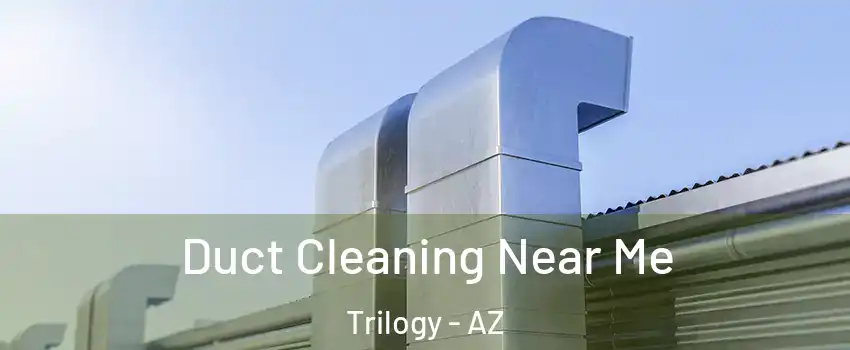 Duct Cleaning Near Me Trilogy - AZ