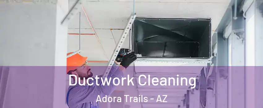 Ductwork Cleaning Adora Trails - AZ