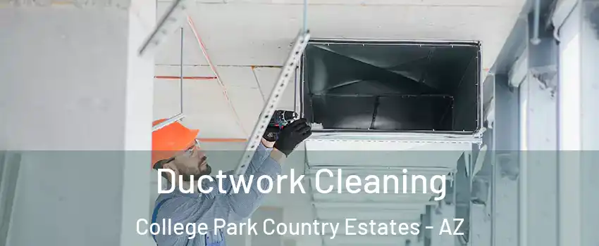 Ductwork Cleaning College Park Country Estates - AZ