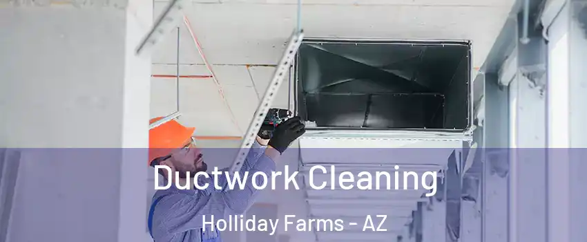 Ductwork Cleaning Holliday Farms - AZ