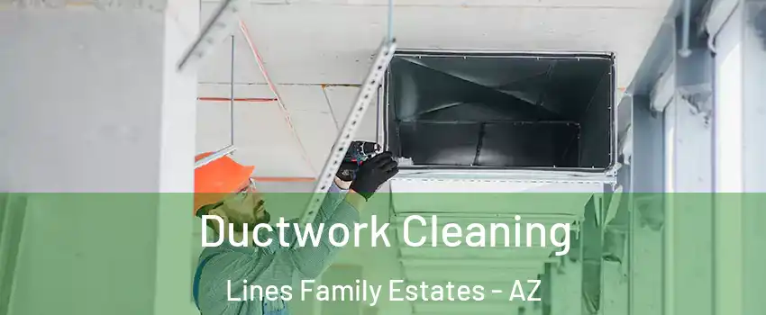 Ductwork Cleaning Lines Family Estates - AZ