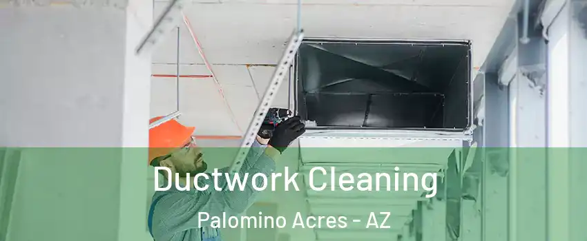 Ductwork Cleaning Palomino Acres - AZ