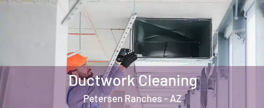 Ductwork Cleaning Petersen Ranches - AZ