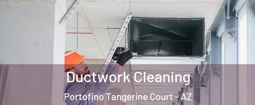 Ductwork Cleaning Portofino Tangerine Court - AZ